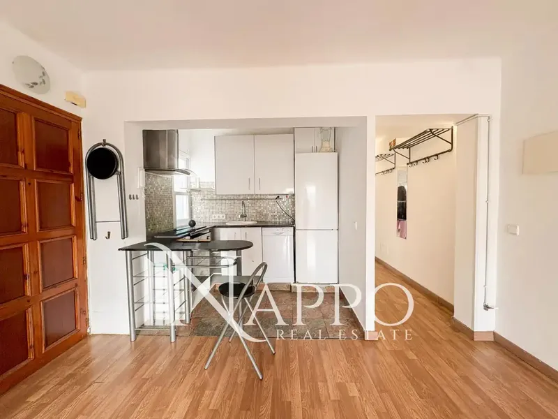 Nappo Real Estate is pleased to present this bright fully renovated penthouse, located in the sought-after area of General Riera — photo 7