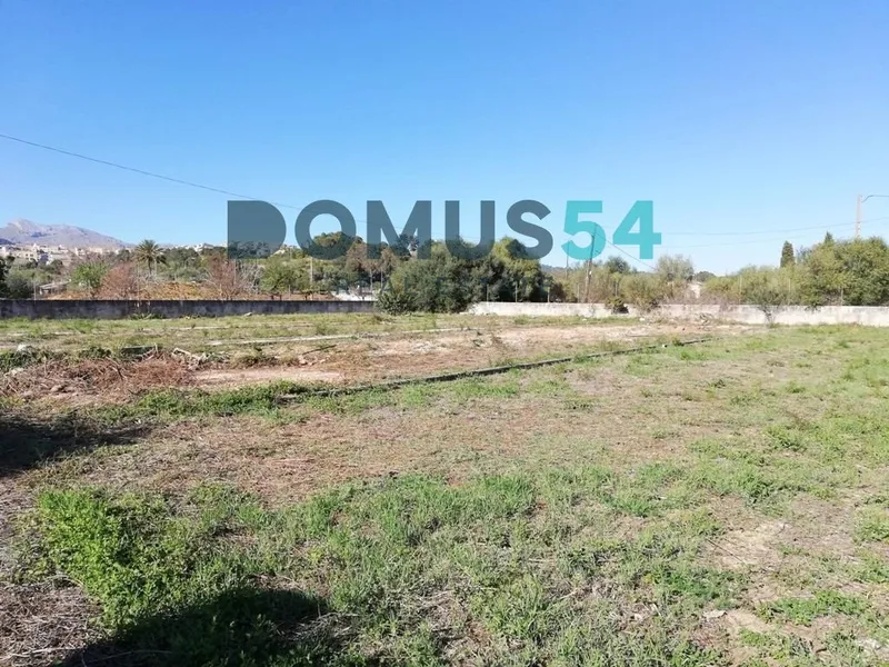 Rustic land not for building in Campanet — photo 4