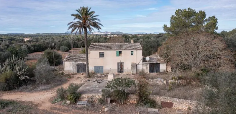 Country house to renovate in Campos with 14,000 m² plot — photo 5