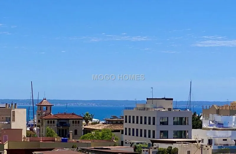 Penthouse for sale in Son Armadams — photo 1