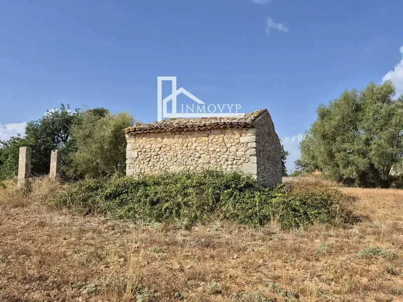 Cannot be extended. Has vein well. 3 plots of land for sale with a total of 11,675.91 m². On these plots there is a small house — photo 12
