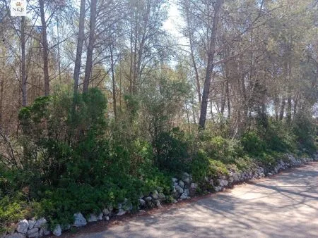 Rural Land - Costitx (S'arisal), Plot Surface 5325m², Distance to the sea 25 Km. — photo 1