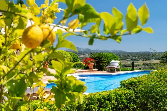 Charming finca in Petra with panoramic views — photo 1