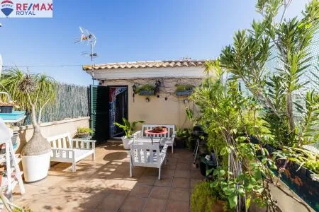 Terraced house in Palma de Mallorca (Amanecer) — photo 6