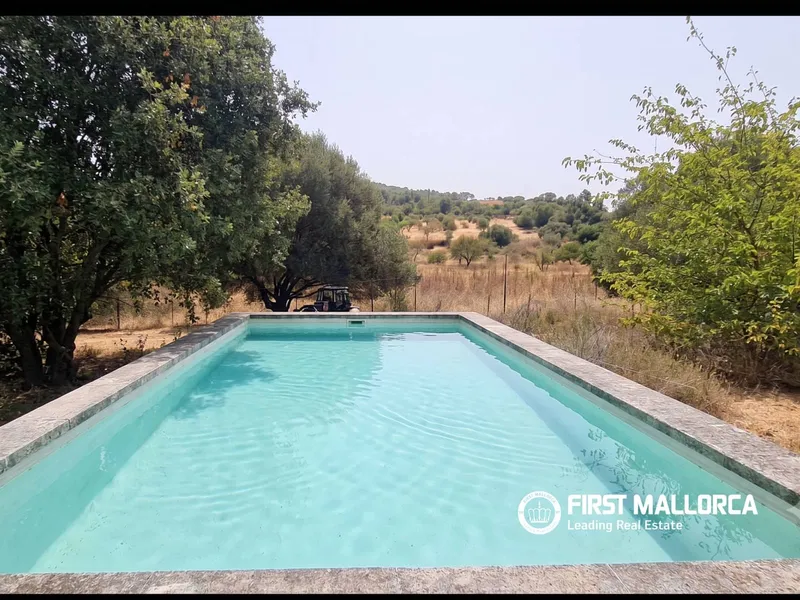 Finca/Country House for rent in Marratxí, Mallorca — photo 4