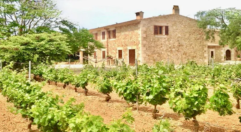 Fantastic country house with wine cellar and mill, Campos — photo 1