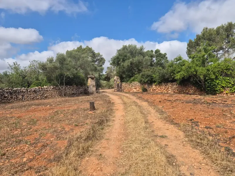 Charming rustic finca of 13,600 m2 of land located in the sought-after area of Llucmajor, an oasis of tranquility and privacy with all — photo 3