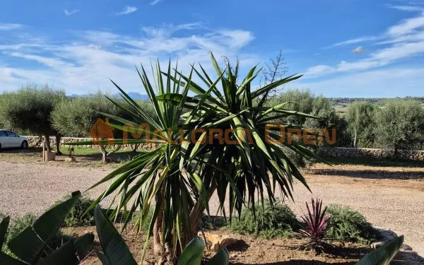 Charming finca near the Rafa Nadal School – Manacor — photo 4
