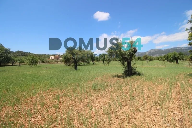 plot in Campanet — photo 5