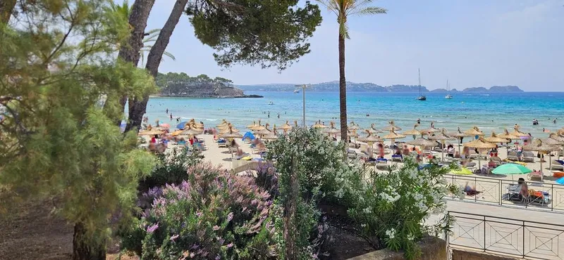 Detached House in Calvià, Province of Balearic Islands — photo 11
