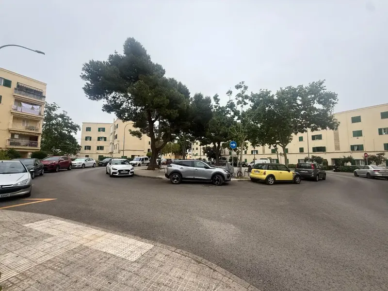 We present this practical and cozy studio of 22 m² built, located in the Virgen de Lluc area, Palma, a convenient location, well — photo 11