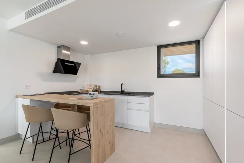 Penthouse in exclusive residence in Sa Rapita 1 — photo 4