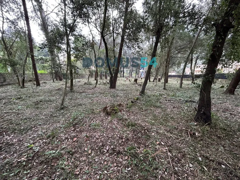 Urban plot in Son Toni Sa Pobla — photo 11