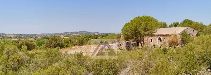 Ländlichles Land zu verkaufen in Sant Llorenc des Cardassar — photo 6