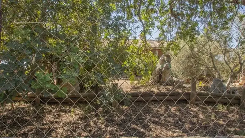 Investment opportunity: property without possession — photo 7