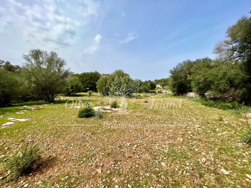 Land in Algaida, Province of Balearic Islands — photo 3