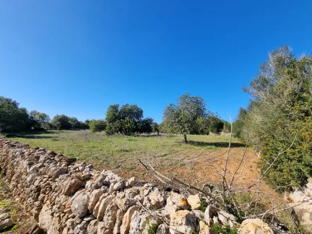Plot with building licence for newbuilt finca with mountain views in Cas Concos, Felanitx for sale, Mallorca — photo 4