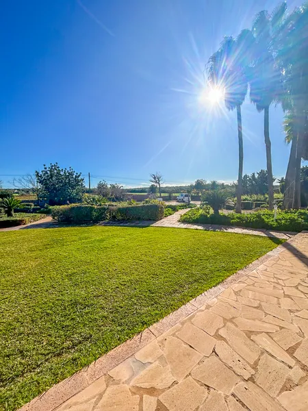 Unique finca for sale with its own olive grove and ETV license near Campos — photo 10