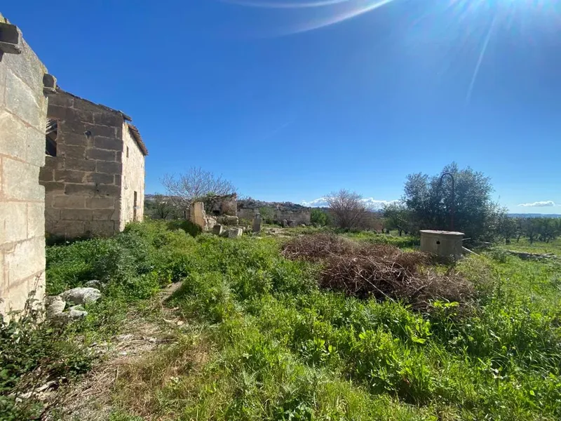 Cortijo in Campanet, Mallorca — photo 2