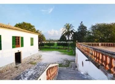 finca in Maria de la Salut — photo 9