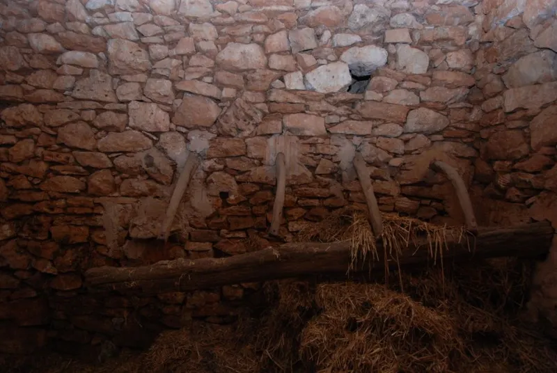 Town house for renovation with many possibilities near the center of Ses Salines — photo 6