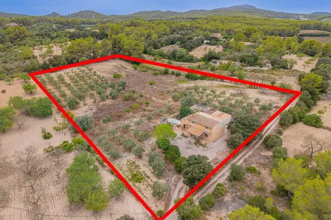 Country house in Porreres, Mallorca — photo 4