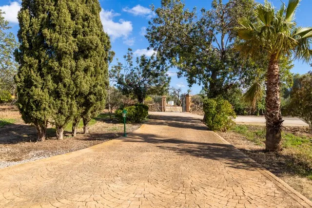 Charming countryside house with fruit trees for sale near Alaró, Mallorca — photo 11