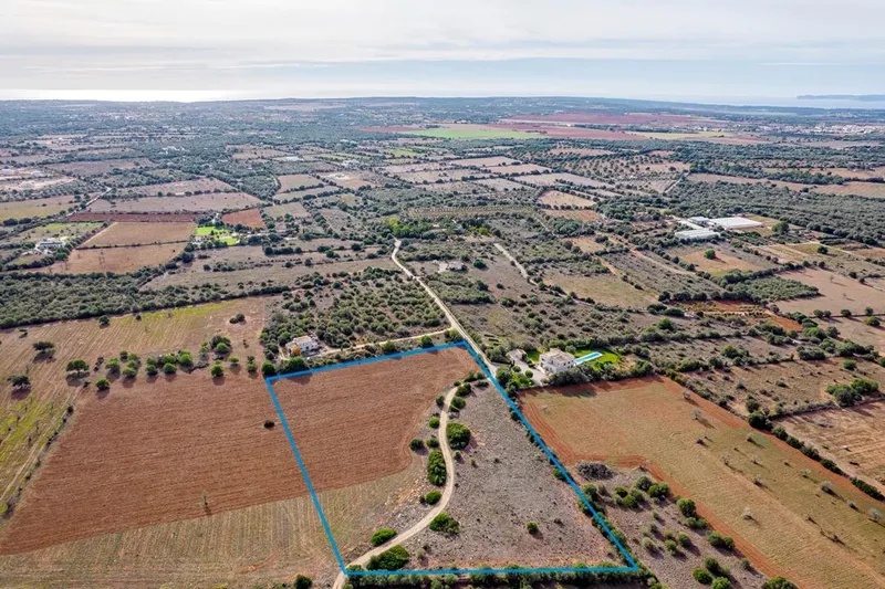Plot in Ses Salines: The Perfect Place to Create Your Home in Mallorca — photo 3