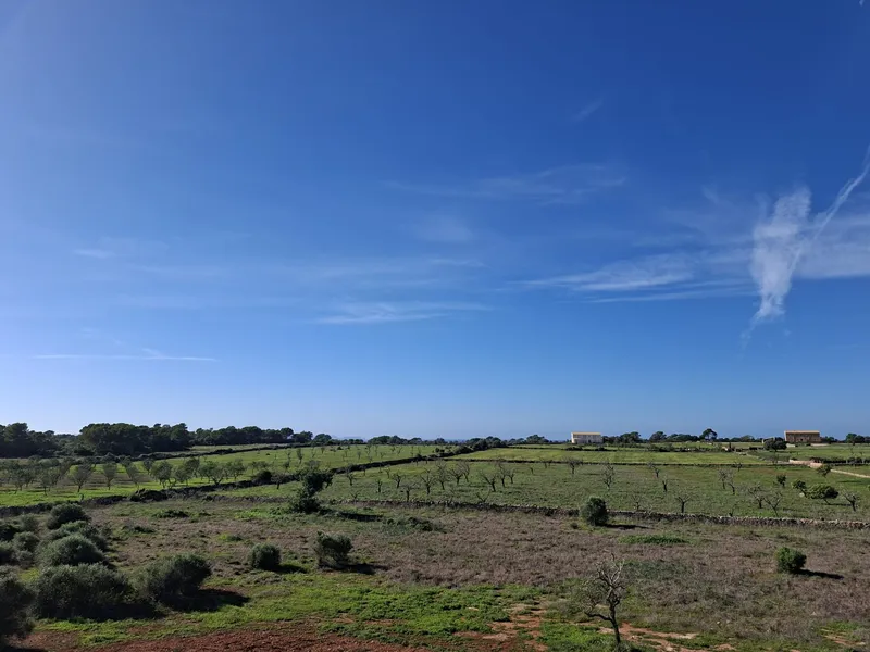 New build finca near Ses Salines with panoramic views to Cabrera 1 — photo 6
