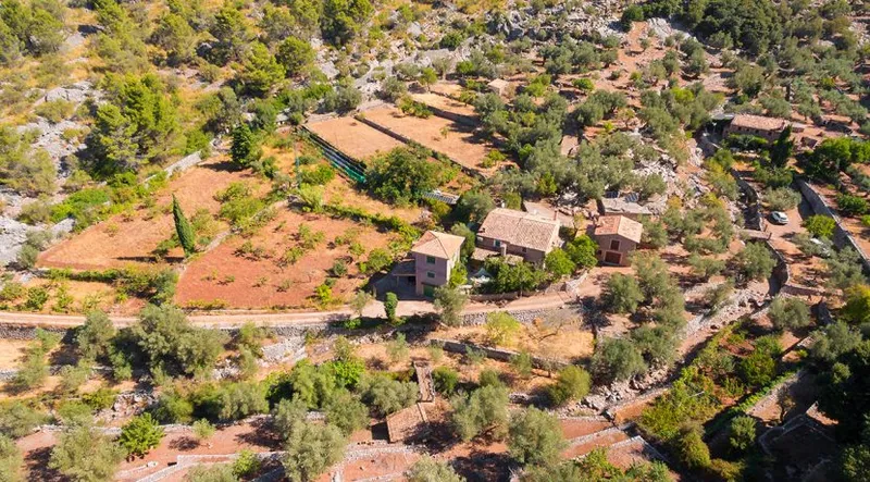 Rustic finca in the heart of the Sierra de Tramuntana — photo 3