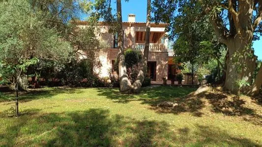 Rustic property - Manacor (Manacor Centro) — photo 1