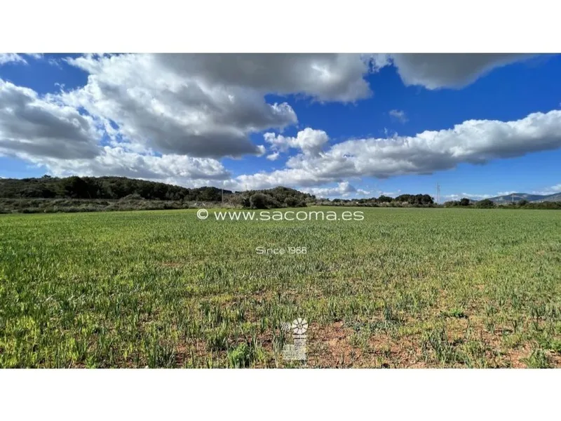 Land in Artà, Province of Balearic Islands — photo 4
