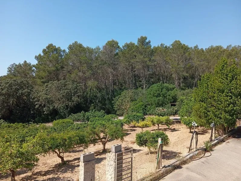 Rural or Farmhouse in Lloret de Vistalegre, Province of Balearic Islands — photo 7