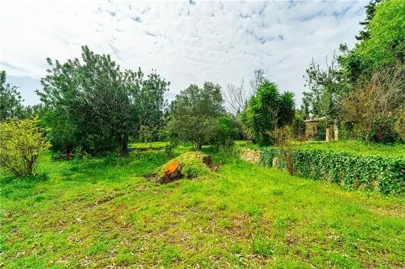 Rustic estate on plot of approx. 28,000 m2 with pool — photo 3