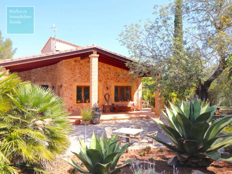 Finca in Porto Cristo — photo 5
