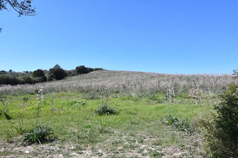 Set of 3 plots with impressive views and a total of approx 252,609m2 in Petra — photo 11
