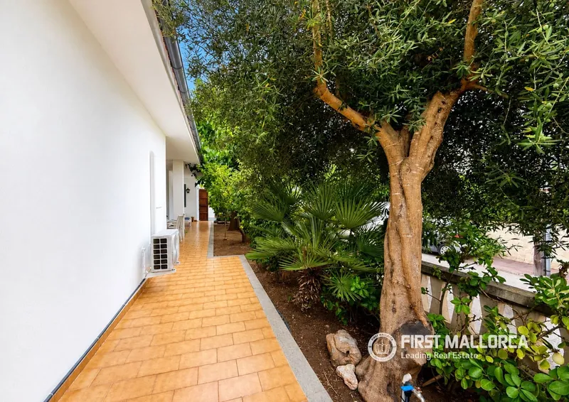 Villa for rent in Playas de Muro / Platges de Muro, Muro, Mallorca — photo 4