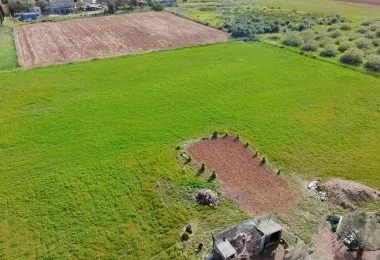 Charming rustic finca in Muro - Your natural refuge awaits! — photo 6