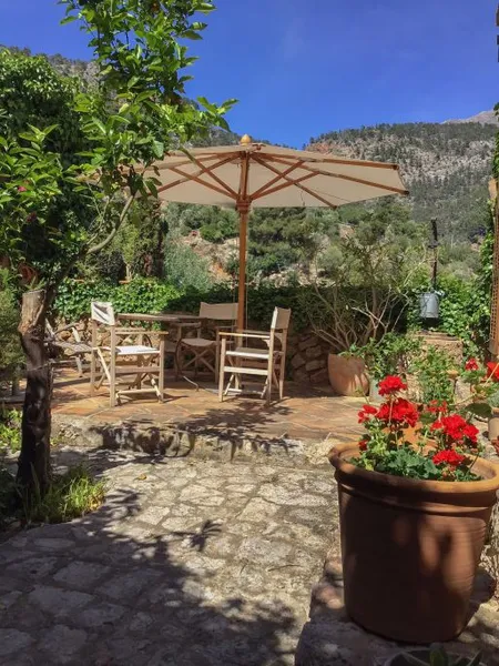 Olive grove with two small houses and car access in Fornalutx — photo 10