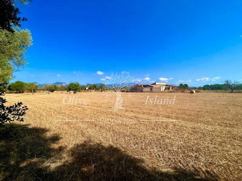Land in Inca, Province of Balearic Islands — photo 4
