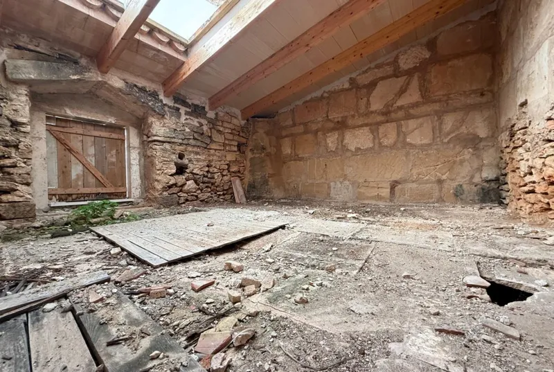 Rustic finca with cottage in Ses Salines — photo 6