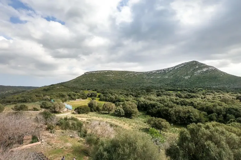 This large estate of about 498 hectares of land is located among green hills in the northeast of Mallorca, in the coastal area of the municipality — photo 11
