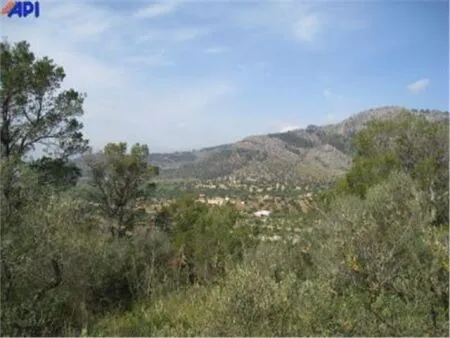 Rural land - Bunyola, plot surface 160000 m² — photo 1