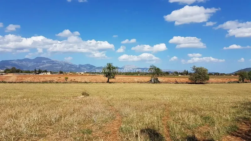 Unique opportunity on the outskirts of the charming municipality of Sencelles, on the beautiful island of Mallorca. This huge rustic estate — photo 3