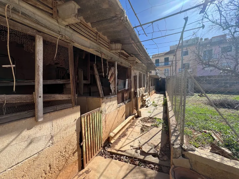 Buildable plot in Campos — photo 5