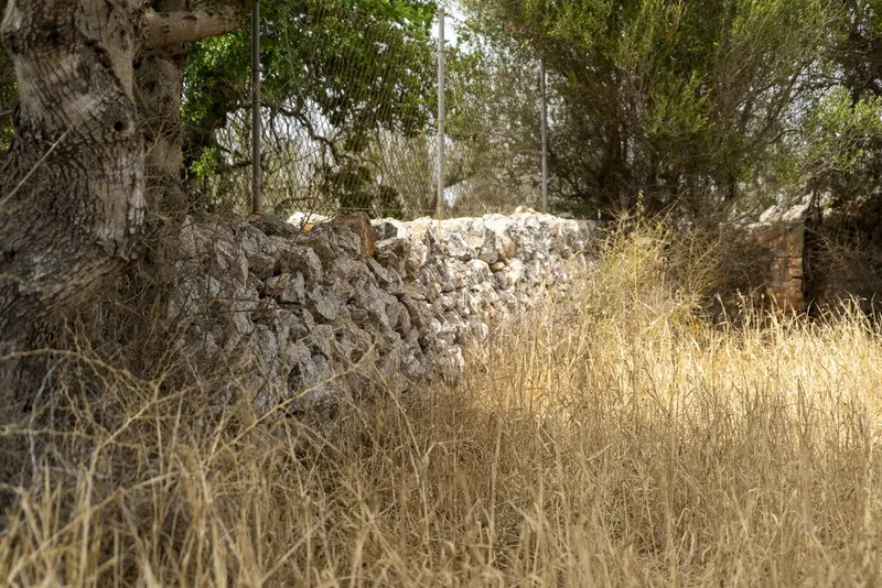 Top quality plot for sale in Santanyi with private pool and sea views — photo 12