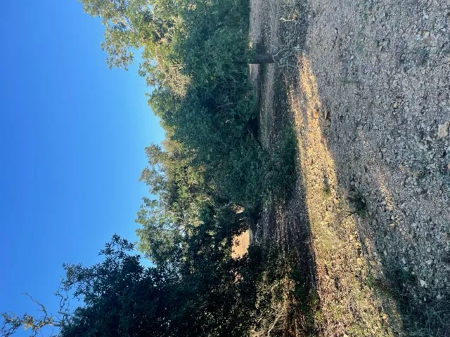 Plot with basic project to build a house — photo 10