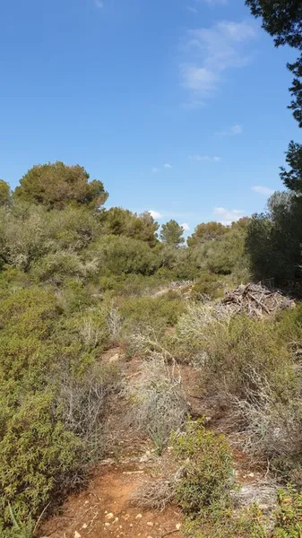 Lovely Huge Plot with Possibility to Build a 290 sqm House — photo 6