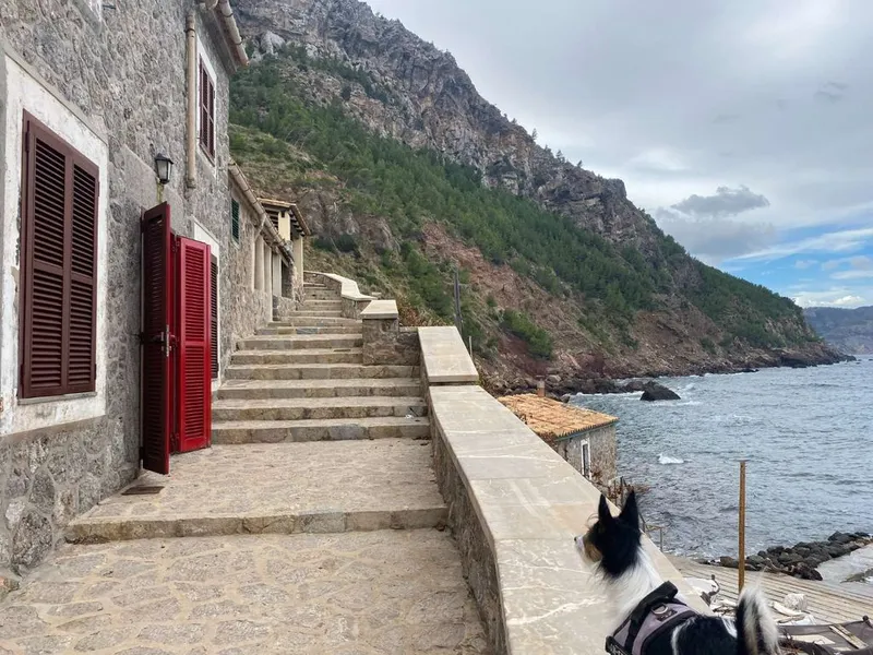 Luxury home in Valldemossa, Province of Balearic Islands — photo 4