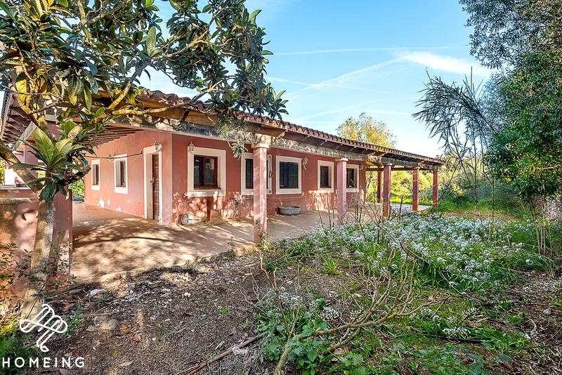 Rustic finca with house in Algaida — photo 3